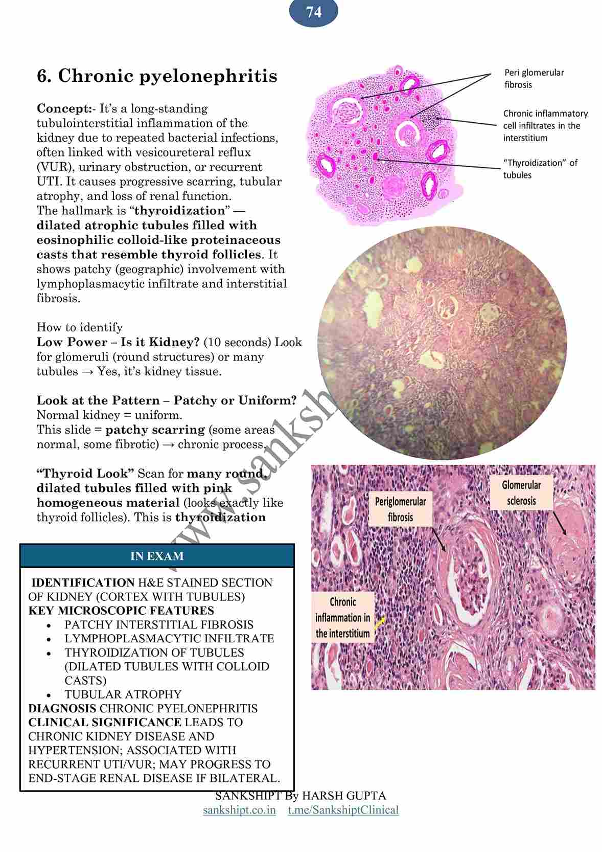 Histopathology