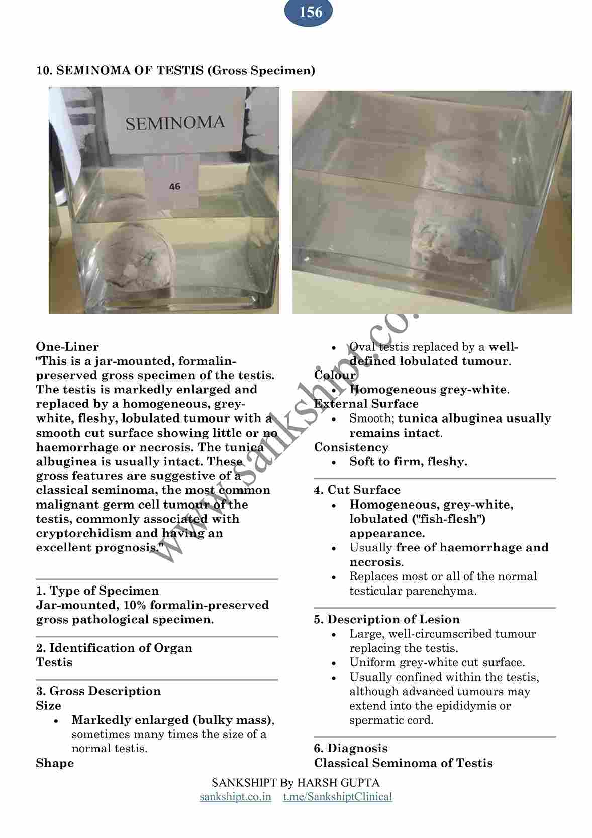 Gross Pathology Specimens